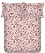 BOMBAY DYEING Florentine King Double Size BEDSHEEET (2.74 X 2.74 MT) 2 Pillow Covers (46 cm X 69 cm) THREADCOUNT 210, 100 % Cotton  7184 Peach
