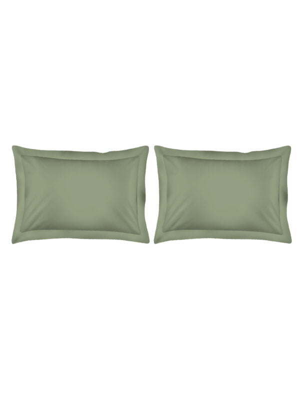 Pure Earth 300 TC Cotton Ultra Fine Olive Green Colored Solid Print King Bed Sheet Set