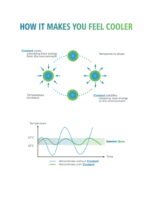 Cool Night -1 225 TC Chief Value Cotton Super Fine Red Colored Floral Print Single Bed Sheet Set