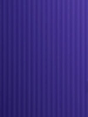 8905698557107_2